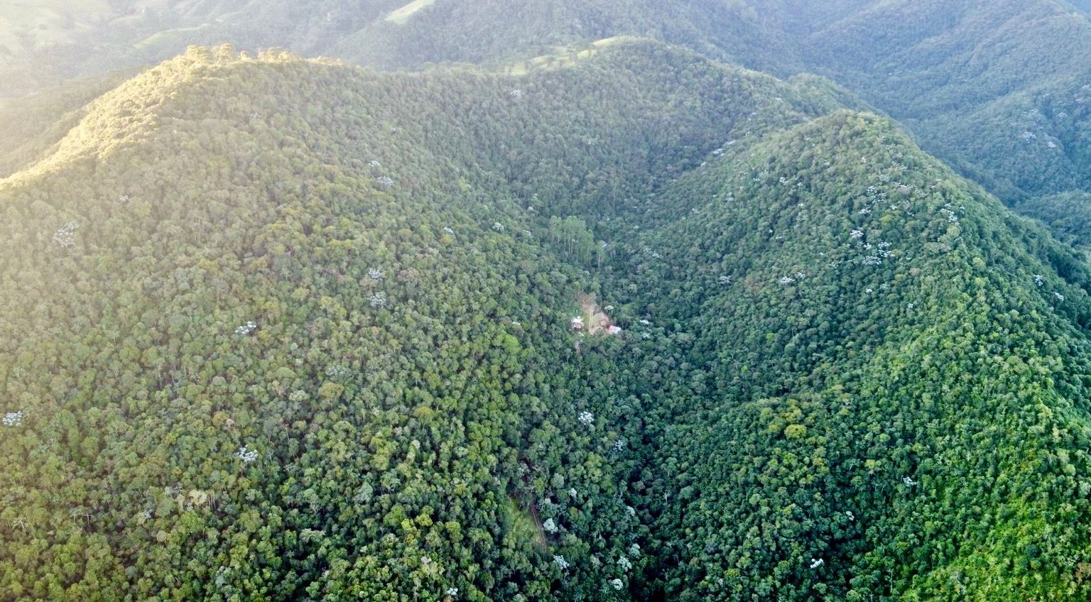 First light over the forested mountains of the Atlantic Rainforest, the homestead a small clearing deep in the valley