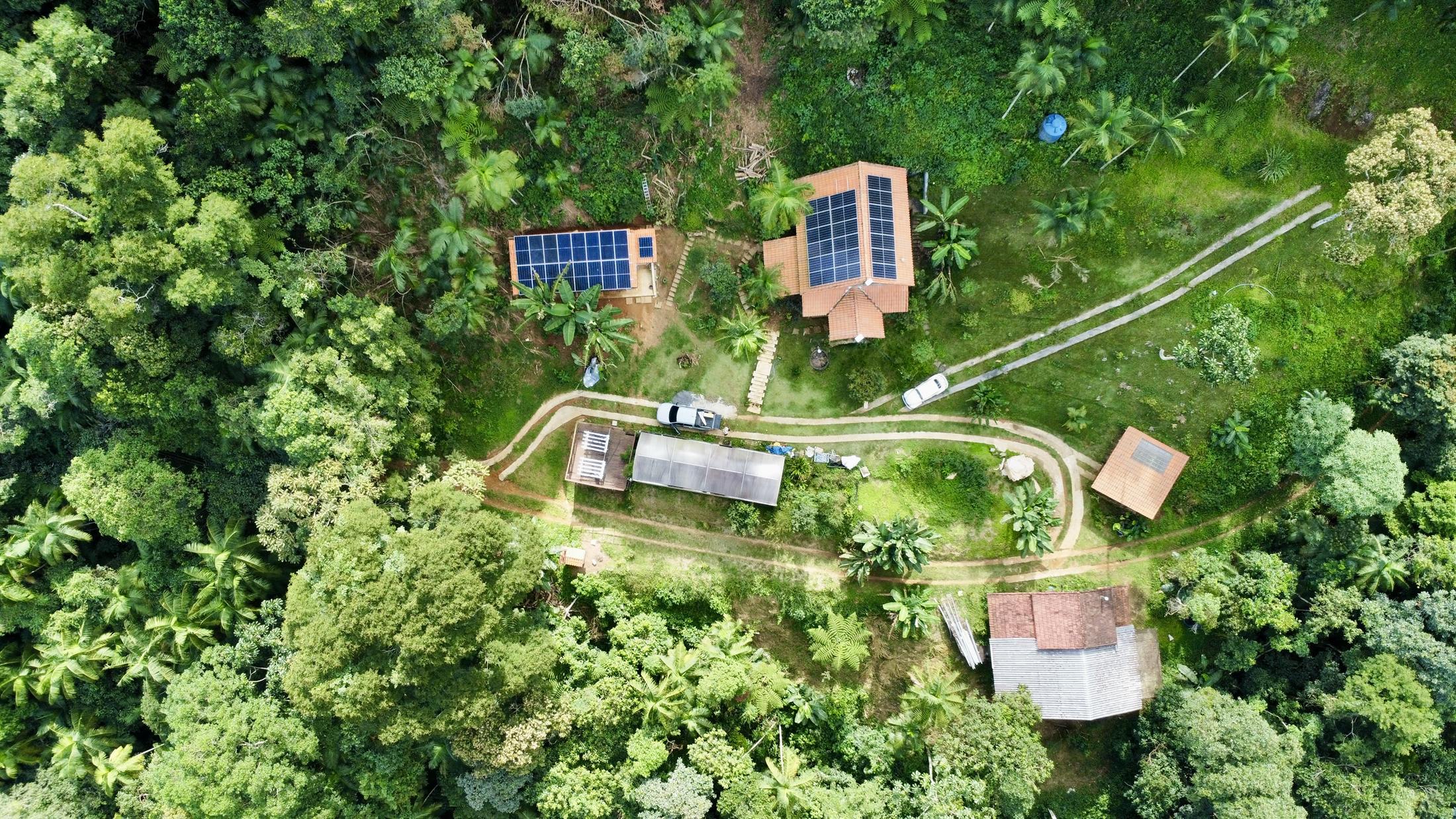 Top-down drone view of the homestead: two houses with solar arrays, the greenhouse, and the winding driveway in the jungle clearing